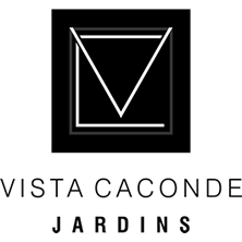 Logo VISTA CACONDE